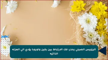 الرئيس الصيني يحذر: فك الارتباط بين بكين وأوروبا يؤدي إلى العزلة الذاتية